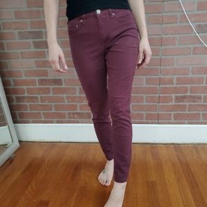 Aeropostale Maroon Jeggings